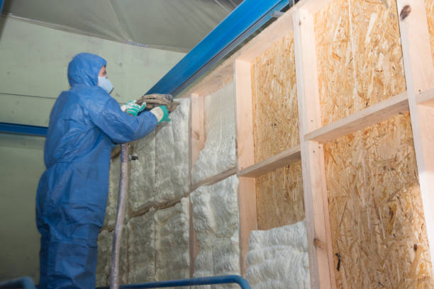 Best Home Insulation Services  in Old Forge, PA