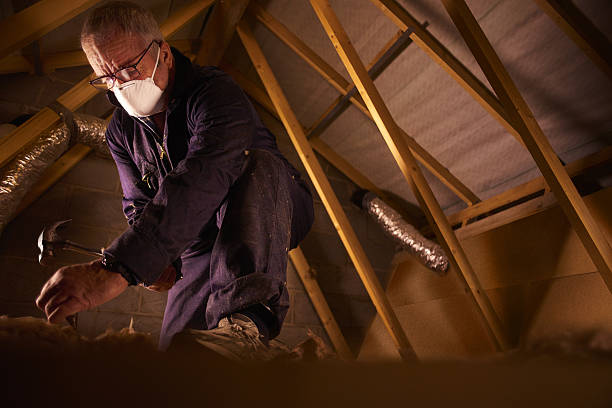 Best Insulation Removal  in Old Forge, PA