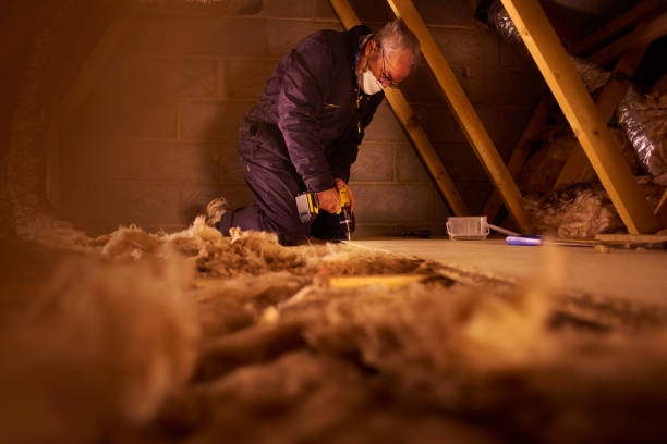 Best Local Insulation Services  in Old Forge, PA